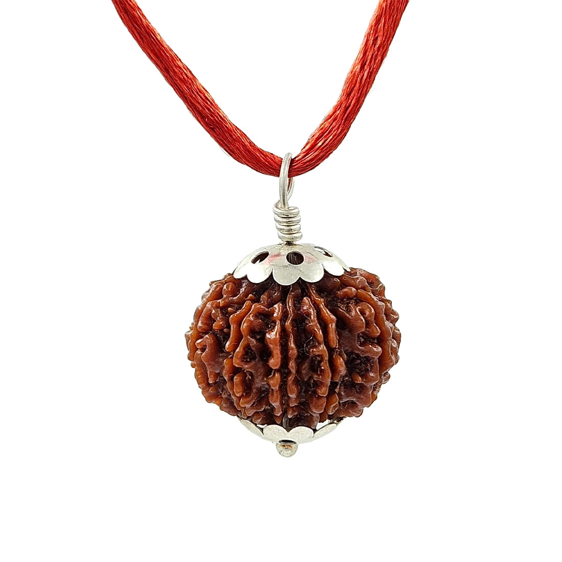 11 Mukhi Rudraksha Pendant (Nepal)