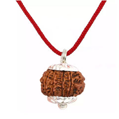 12 Mukhi Rudraksha Pendant (Nepal)