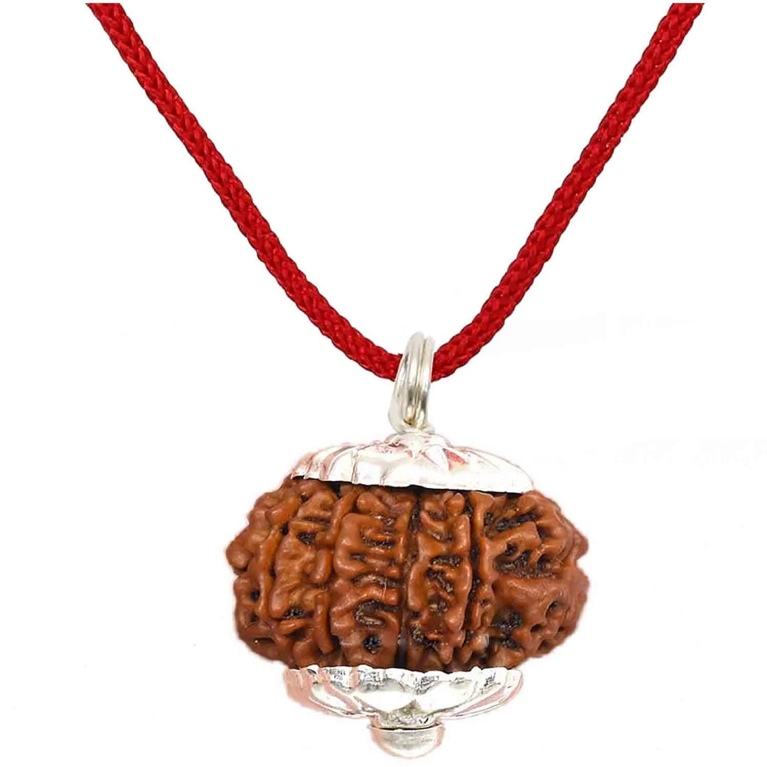 13 Mukhi Rudraksha Pendant (Nepal)