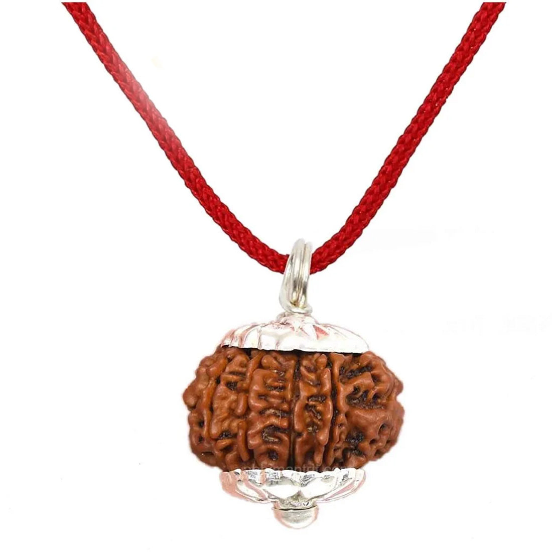 14 Mukhi Rudraksha Pendant (Nepal)
