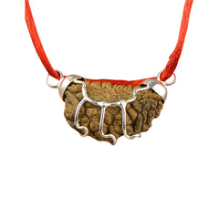 1 Mukhi Rudraksha Pendant (Indonesian)