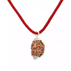 3 Mukhi Rudraksha Pendant (Nepal)
