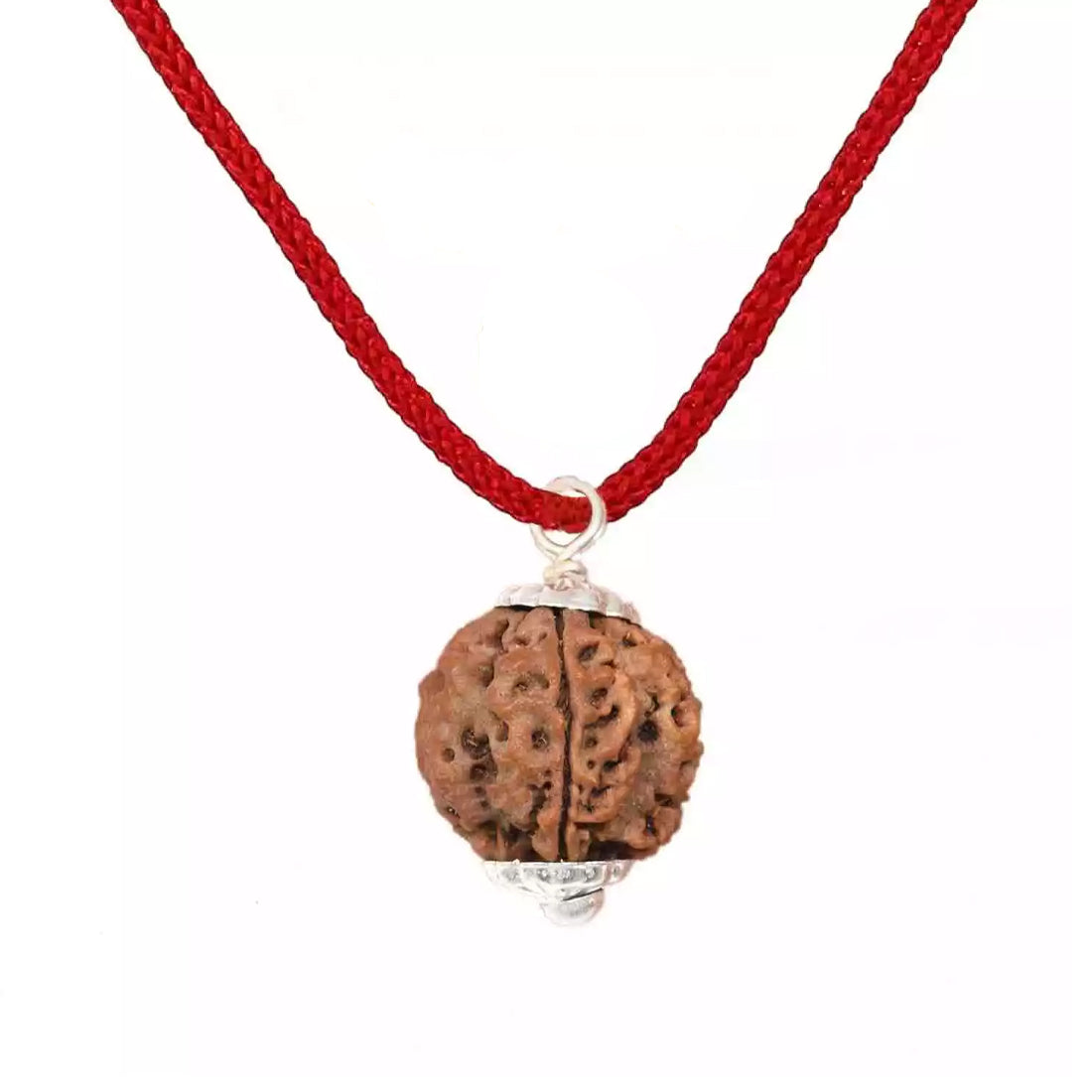 4 Mukhi Rudraksha Pendant (Nepal)