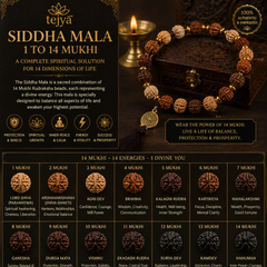Siddha Mala 1 to 14 Mukhi