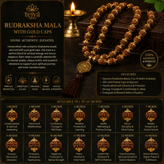 Rudraksha Mala with Gold Caps