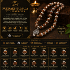 Rudraksha Mala with Silver Caps