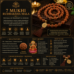 7 Mukhi Rudraksha Mala