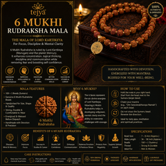 6 Mukhi Rudraksha Mala