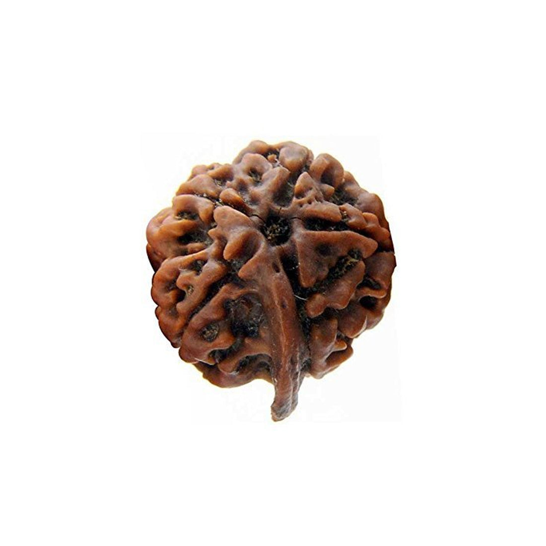 Ganesh Rudraksha Pendant
