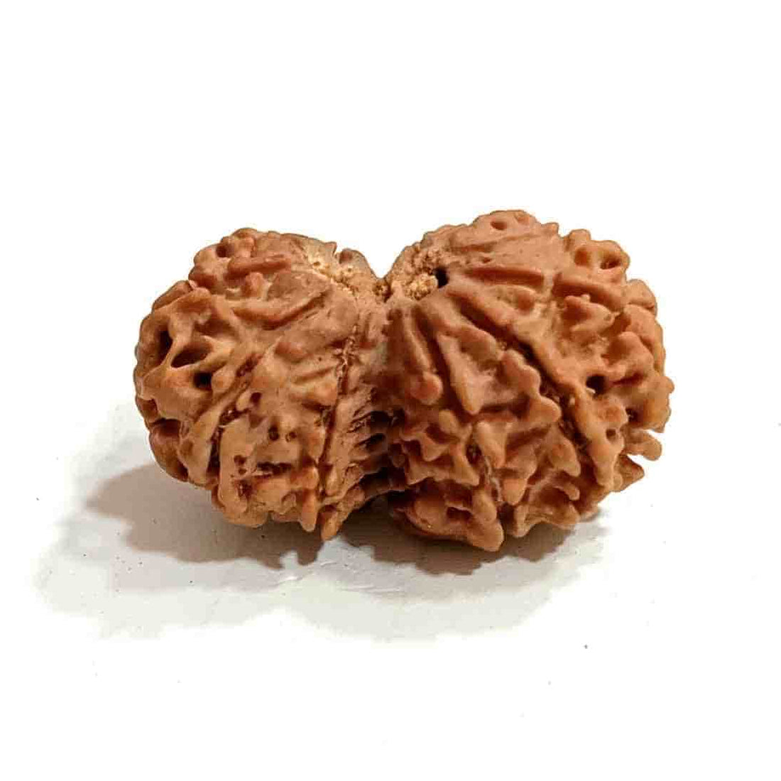 Gauri Shankar Rudraksha Pendant