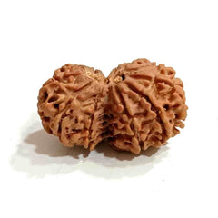 Gauri Shankar Rudraksha Pendant