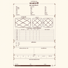 Digital Janampatri Report